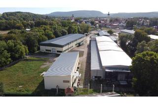 Gewerbeimmobilie kaufen in Gothaer Straße 21, 99885 Ohrdruf, Gewerbegrundstück mit ca. 27.000 m² Grundstück und 7 Produktionshallen zu verkaufen