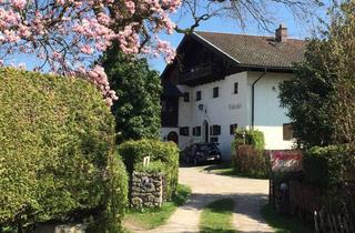 Wohnung mieten in Stötthamerstrasse 10, 83339 Chieming, Großzügige 4-Zimmer-Wohnung mit Balkon & Wintergarten in Chieming