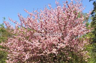 Wohnung mieten in 22119 Hamburg, = OHNE MAKLER = AB SOFORT FREI - ruhiges, möbliertes Zimmer in Hamburg - Mitte =