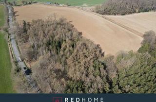 Grundstück zu kaufen in 25581 Hennstedt, Waldfläche mit ca. 2,8 ha Fläche in Hennstedt zu verkaufen!