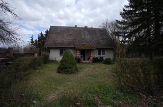 Einfamilienhaus kaufen in 16269 Bliesdorf, Bliesdorf / Vevais - Hauptstadtmakler-Geräumiges Haus mit Pool und großem Grundstück