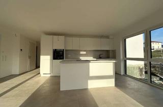 Wohnung mieten in 74206 Bad Wimpfen, 3,5-Zimmer-Erdgeschosswohnung mit Garten und Küche sucht ab 1.07. einen Mieter