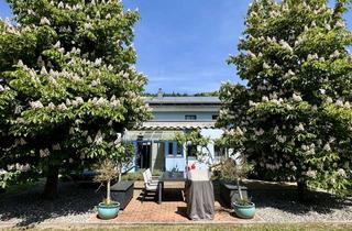 Haus kaufen in 93086 Wörth, Viel Raum für Leben und Beruf