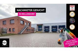 Gewerbeimmobilie mieten in 30900 Wedemark, **Nachmieter gesucht** repräsentative Geschäftsräume ca. 800 m² und Lagerhallen ca. 2000 m², teilbar