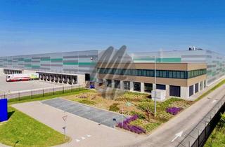 Büro zu mieten in 67307 Göllheim, KEINE PROVISION ✓ NEUBAU ✓ Lager-/Logistik (34.000 m²) & Büro-/Sozial (1.800 m² / erweiterbar)