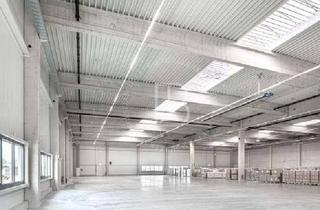 Gewerbeimmobilie kaufen in 68542 Heddesheim, "BAUMÜLLER AG" - 3.000 m² Hallenfläche - Rampe+ebenerdig - kurzfristig verfügbar - Autobahnnähe!