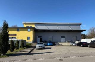 Gewerbeimmobilie kaufen in 86926 Greifenberg, Entdecken Sie Ihr neues Gewerbeparadies: Grundstück mit Halle, Büro u. Betriebsleiterwohnung!