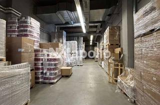 Gewerbeimmobilie mieten in 64521 Groß-Gerau, EXKLUSIV | ca. 2.000 m² Halle | ausreichend Freifläche | ab sofort verfügbar | ebenerdig