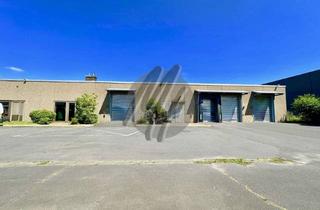 Büro zu mieten in 64807 Dieburg, SCHNELL VERFÜGBAR ✓ NÄHE BAB ✓ Lager (1.900 m²) & Büro-/Sozial (500 m²) zu vermieten