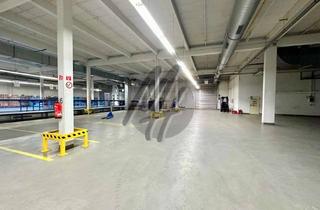 Büro zu mieten in 63110 Rodgau, SCHNELL VERFÜGBAR ✓ NÄHE BAB ✓ Lager (1.900 m²) & Büro-/Sozial (500 m²) zu vermieten