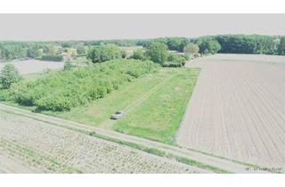 Grundstück zu kaufen in Am Kreuzgarten 52, 41334 Nettetal, Ca. 3.050 m² Grünland als Freizeitgrundstück für z.B. Pferdehaltung im §35er Außenbereich
