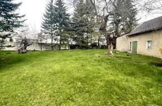 Grundstück zu kaufen in 01454 Wachau, Wo Träume entstehen – erschlossenes Grundstück in idyllischer Lage von Wachau/Leppersdorf!