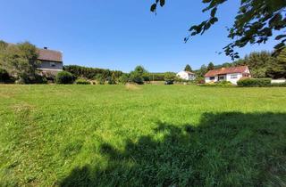 Grundstück zu kaufen in Schützenweg, 36208 Wildeck, Großes Grundstück ohne Bauzwang in Wildeck-Bosserode