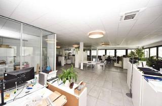Büro zu mieten in 63820 Elsenfeld, DIETZ: Modernisierte Büroetage mit 300m² Bürofläche zur Vermietung! Viele Parkplätze vorhanden!