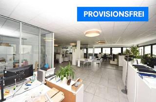 Büro zu mieten in 63820 Elsenfeld, DIETZ: PROVISIONSFREI Modernisierte Büroetage mit 300m² Bürofläche zur Vermietung! Viele Parkplätze!