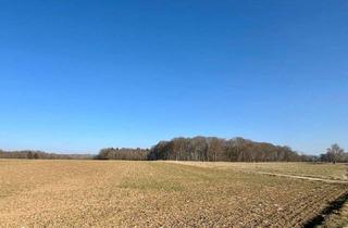 Gewerbeimmobilie kaufen in 85135 Titting, Grundstück mit Acker- und Waldflächen in Kesselberg/Titting (bei Raitenbuch - Reuth am Wald)