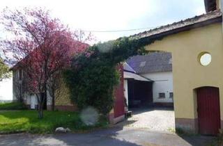 Gewerbeimmobilie kaufen in 35510 Butzbach, Charmanter Bauernhof mit Wohnhaus und großer Lagerfläche