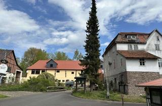 Gewerbeimmobilie kaufen in 34587 Felsberg, Anwesen in traumhafter Alleinlage, 4 Gebäude + Campingplatz