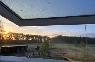 Einfamilienhaus kaufen in 27386 Hemsbünde, Einfamilienhaus mit Ausblick auf direkt anliegender Weidefläche und Reitplatz