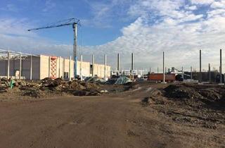 Gewerbeimmobilie mieten in 06780 Zörbig, Projektierter Neubau einer Lager- und Logistikhalle nahe der A9