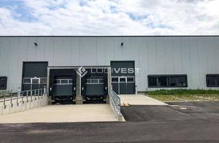 Gewerbeimmobilie mieten in 39240 Calbe, Hochmoderne Lager- und Logistikhalle - Projektierter Neubau