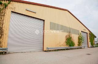Gewerbeimmobilie mieten in 38820 Halberstadt, Lagerhalle mit Freifläche