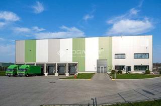 Gewerbeimmobilie mieten in 08451 Crimmitschau, Moderne Halle für Logistik, Lagerung und Produktion!
