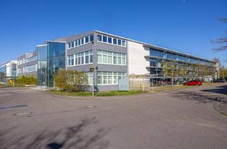 Gewerbeimmobilie kaufen in 68753 Waghäusel, Vielfältig nutzbare Industrie- oder Lagerhalle mit Bürofläche in Waghäusel-Kirrlach