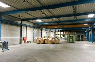 Gewerbeimmobilie mieten in 02763 Mittelherwigsdorf, Vielseitige Produktions- und Lagerhalle mit optimaler Verkehrsanbindung