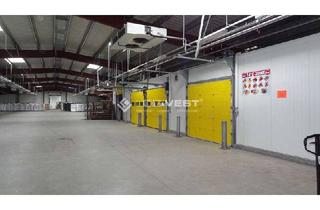 Gewerbeimmobilie mieten in 02763 Zittau, Gepflegte Lager- und Produktionsstätte mit top Ausstattungsmerkmalen!