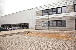 Gewerbeimmobilie mieten in 39397 Gröningen, Projektierter Gewerbeneubau einer energieeffizienten und hochmodernen Lager- und Logistikhalle