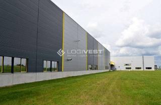 Gewerbeimmobilie mieten in 39446 Staßfurt, Projektierter Neubau einer Lager- und Logistikhalle