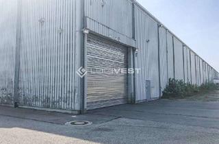 Gewerbeimmobilie mieten in 39387 Oschersleben, Logistikhalle - direkt an der B246