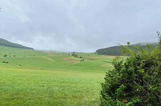 Grundstück zu kaufen in Scherrhalde, 78194 Immendingen, Wunderschöne Weitsicht auf Schwarzwald und Feldberg :-) Voll ausgestattete Hütte für Airbnb oder SIE