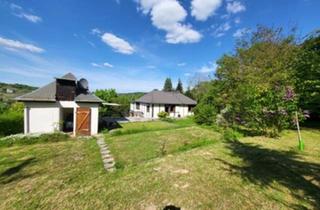 Einfamilienhaus kaufen in 06632 Freyburg, Freyburg (Unstrut) - Einfamilienhaus im Bungalowstil