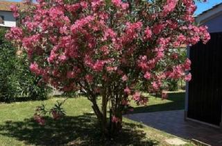 Villa kaufen in 72636 Frickenhausen, Frickenhausen - Traunhaft schönes Villa in Venetien