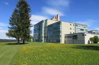 Wohnung kaufen in 79843 Löffingen, Gepflegtes Appartement mit Fernblick in ruhigerWohnanlage !