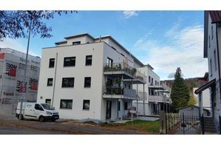 Penthouse mieten in Karlstraße 59, 89143 Blaubeuren, Sonnige 2-Raum-Penthouse-Wohnung mit gehobener Innenausstattung + EBK + Dachterrasse in Blaubeuren