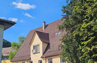 Wohnung mieten in 75365 Calw, Ruhige kernsanierte 2-Zimmer-DG-Altbauwohnung in Calw Hirsau an der Nagold