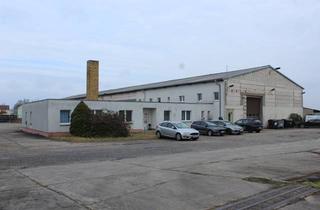 Büro zu mieten in Flurstrasse 16, 04509 Delitzsch, Halle mit Bürogebäude