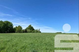 Grundstück zu kaufen in 94099 Ruhstorf, Tolles Grundstück am Ortsrand von Ruhstorf