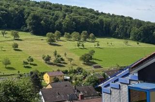 Wohnung mieten in 79594 Inzlingen, Grosse 2,5 Zi-Dachwohnung in ruhiger Lage