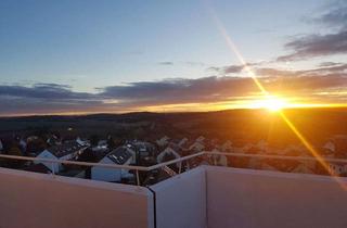 Penthouse mieten in 97228 Rottendorf, 2-Zimmer-Penthousewohnung mit großem Balkon und Einbauküche in Rottendorf