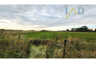 Gewerbeimmobilie kaufen in 26936 Stadland, Investor gesucht: 7,5 ha Grünland in der Wesermarsch gegen Gebot zu verkaufen