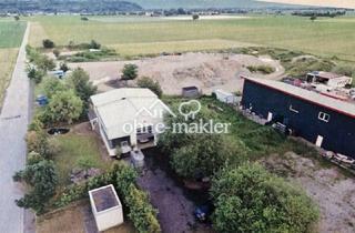 Büro zu mieten in Industriestr. 20, 79206 Breisach, Büro(Wohnung), Werkstatt, Atelier, Ausstellungs/-Produktionshalle mit großem Grundstück