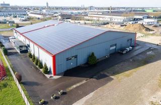 Gewerbeimmobilie kaufen in Hanns-Martin-Schleyer-Straße 19, 89415 Lauingen, zu verkaufen : Freitragende Halle (2.500 m²), PV-Anlage optional-sehr großes Grundstück (17.000 m²)