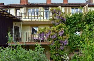 Haus kaufen in Steingasse, 74909 Meckesheim, Urban Gardening auf 500 m² GS: Ideale Kombi aus historischem Charme, zentraler Lage u. Gartenbesitz