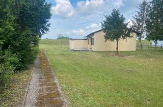 Haus kaufen in 29475 Gorleben, Gorleben - Haus, Garage mit großen Grundstück