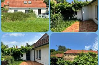 Bauernhaus kaufen in Gühlen 14, 16835 Lindow (Mark), Lindow (Mark) - Bauernhaus, Ferienhaus mit Wiesen unweit Gudelacksee bei Lindow