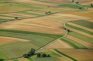 Gewerbeimmobilie kaufen in 73574 Iggingen, Attraktive landwirtschaftliche Flächen in der Gemeinde Iggingen zu verkaufen!
